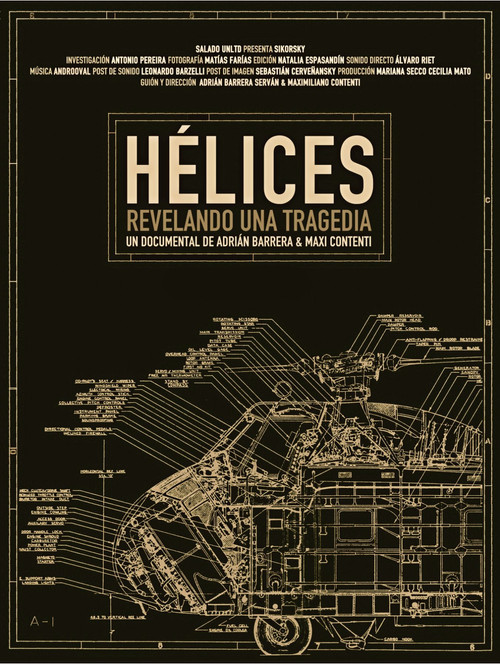 Helices: Revelando una tragedia (2013) poster