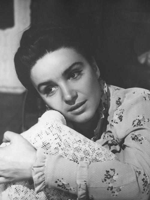 სიცოცხლე ერმილეს (1977) poster