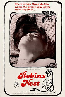 Robin's Nest (1980) poster