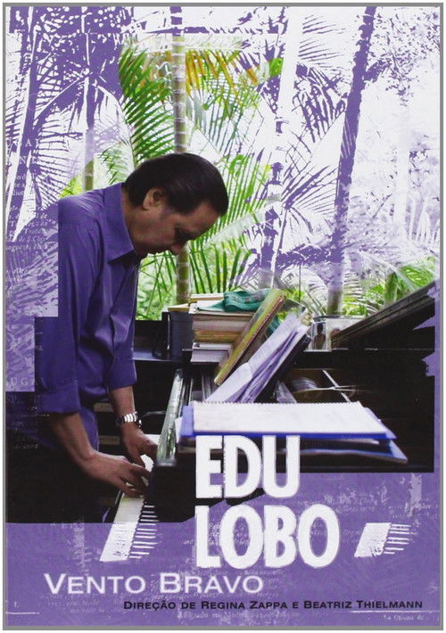 Vento Bravo (2007) poster