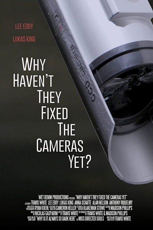 Why Haven't They Fixed the Cameras Yet? (2020) poster