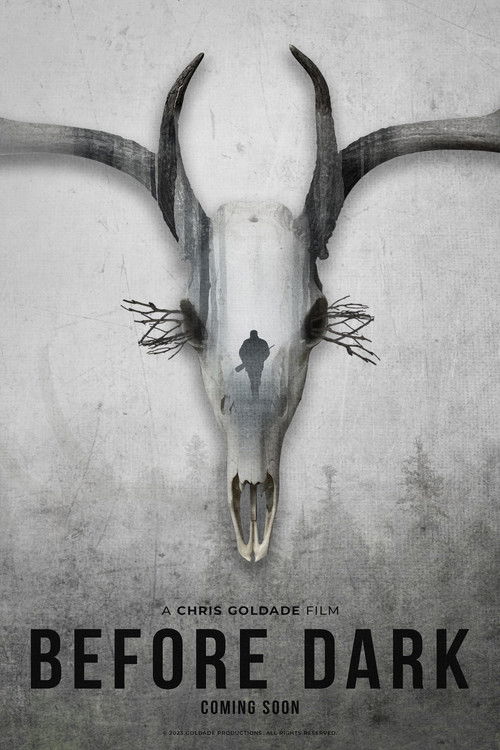 Before Dark (2023) poster