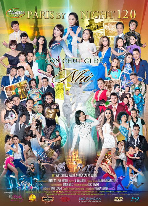 Paris by Night 120: Còn Chút Gì Để Nhớ (2016) poster