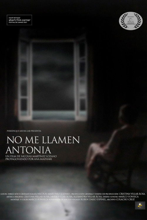 Don't Call Me Antonia (2007) poster