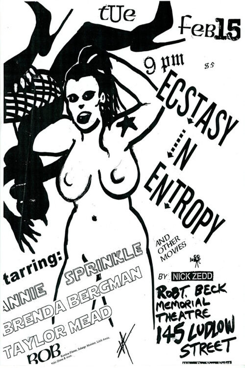 Ecstasy in Entropy (1999) poster