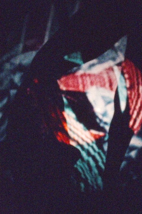 Raga Shadow (1966) poster