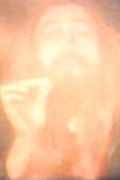 Burn Karma Burn poster