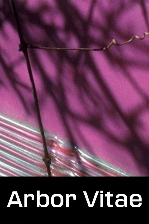 Arbor Vitae (2000) poster