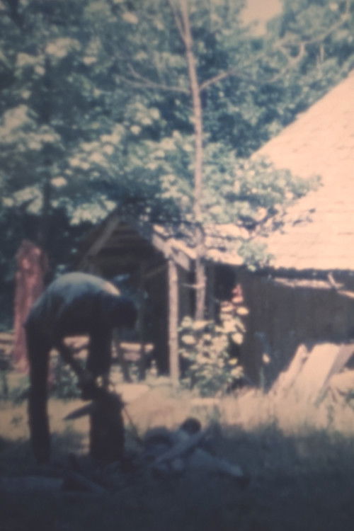 Vocation (1981) poster