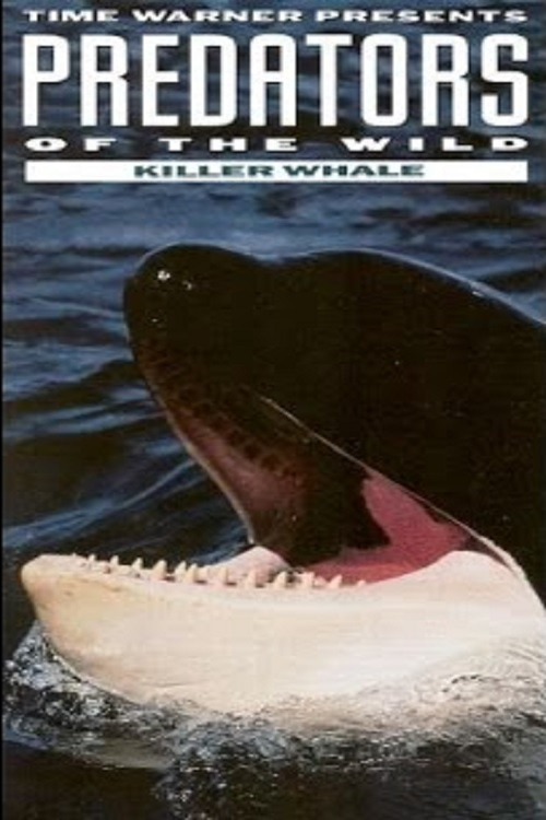 Predators of the Wild: Killer Whale (1992) poster