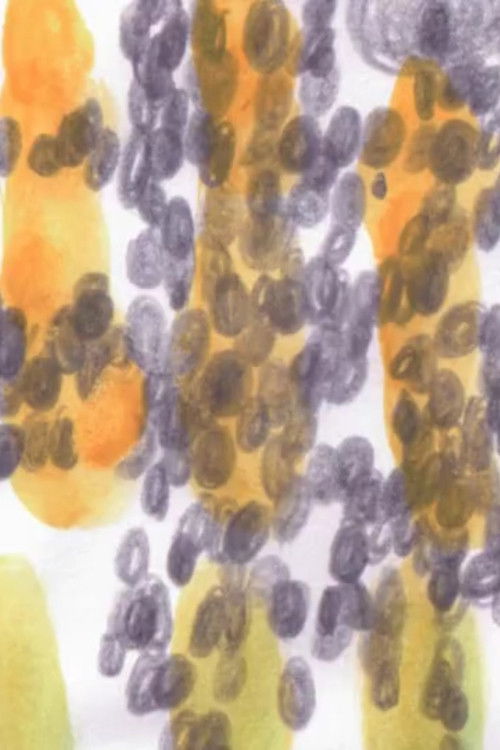 Tout est normal (2015) poster