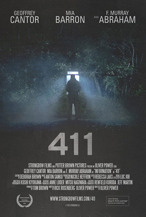 411 (2015) poster