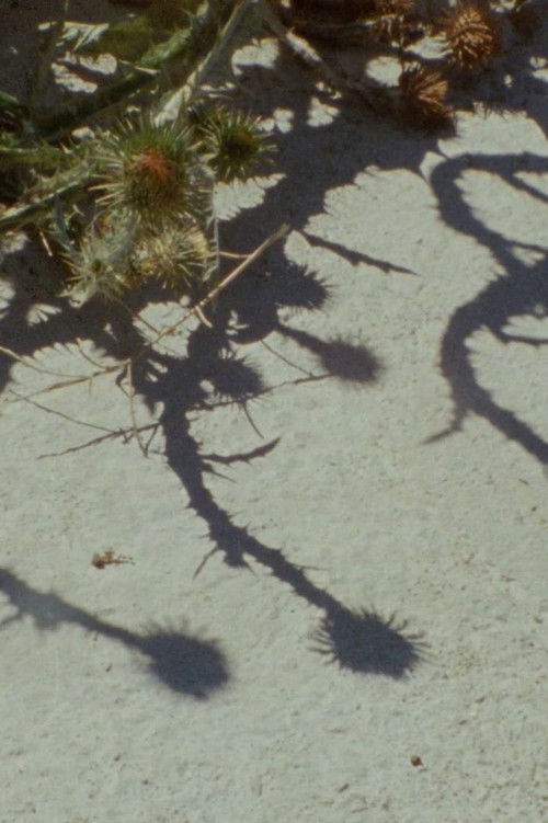 Subir e sumir poster