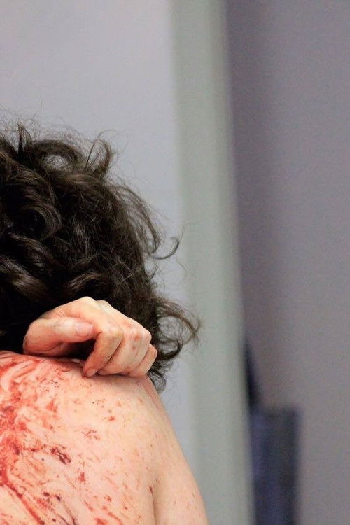 Aos Buracos (2016) poster