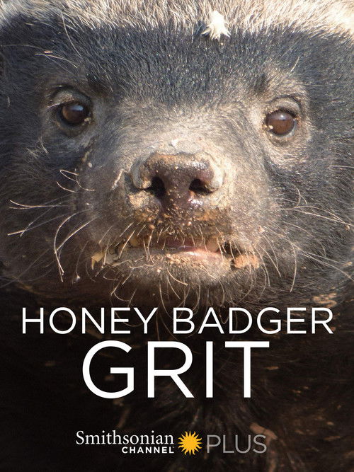 Honey Badger: Grit (2018) poster