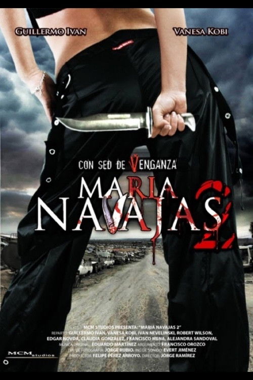 María Navajas 2 (2008) poster