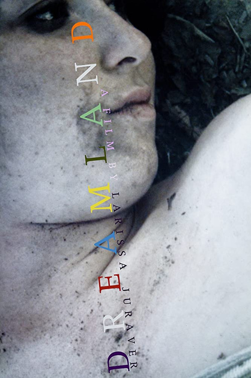 Draumalandið (2009) poster