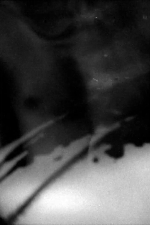 Metamorphosis (2022) poster