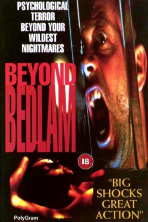 Beyond Bedlam (1994) poster