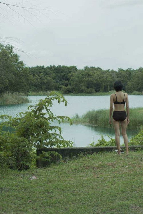 Not a Time to Celebrate (2019) poster