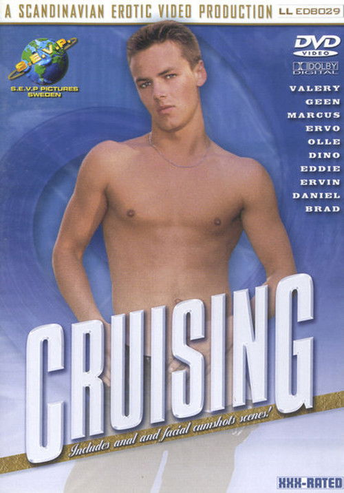 Cruising (2001) poster