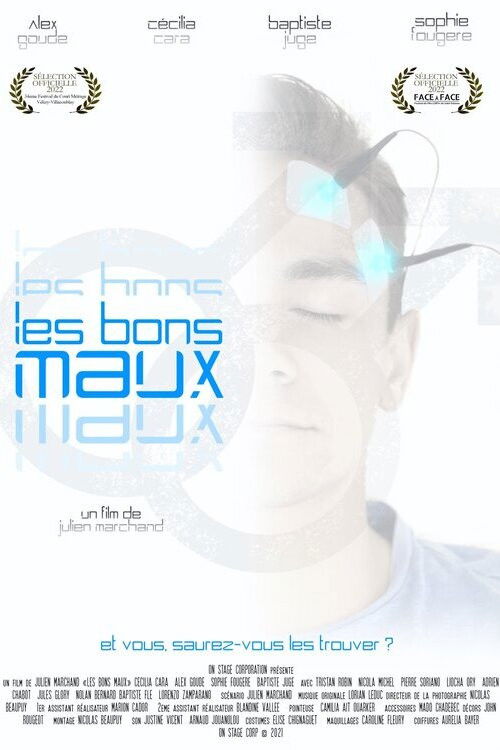 Les bons maux poster