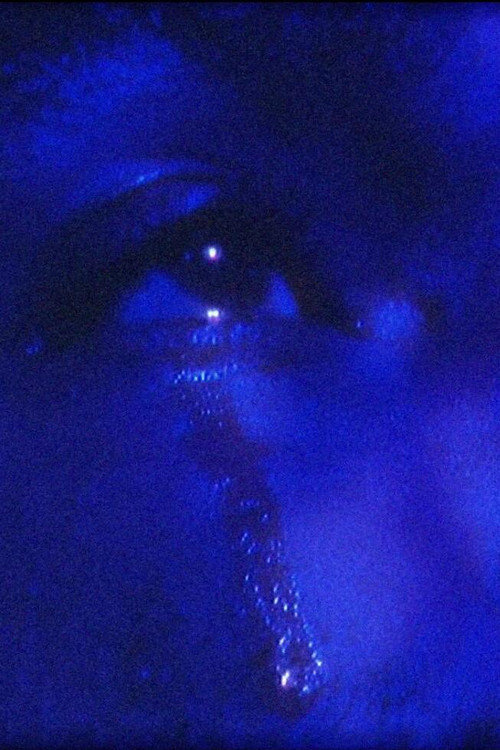 Hakeem (2024) poster