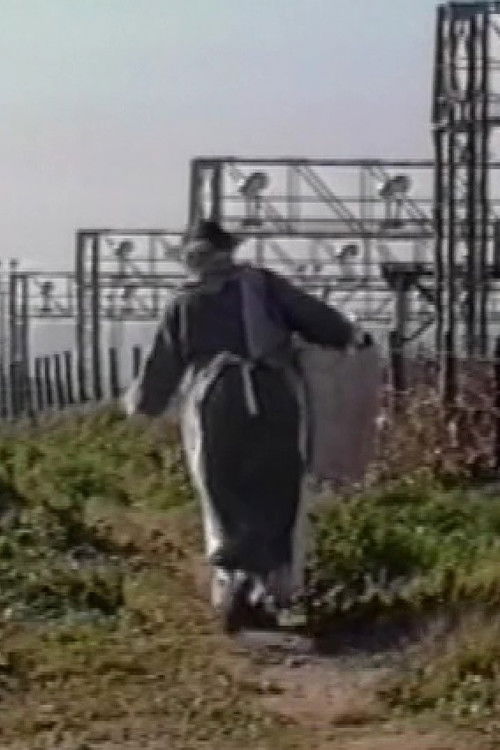 The Last Words of Dolly Pentreath (1993) poster