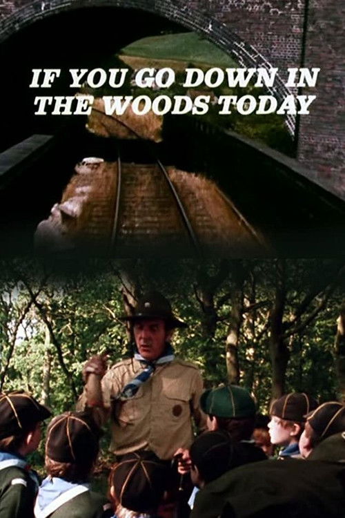 If You Go Down in the Woods Today (1981) poster