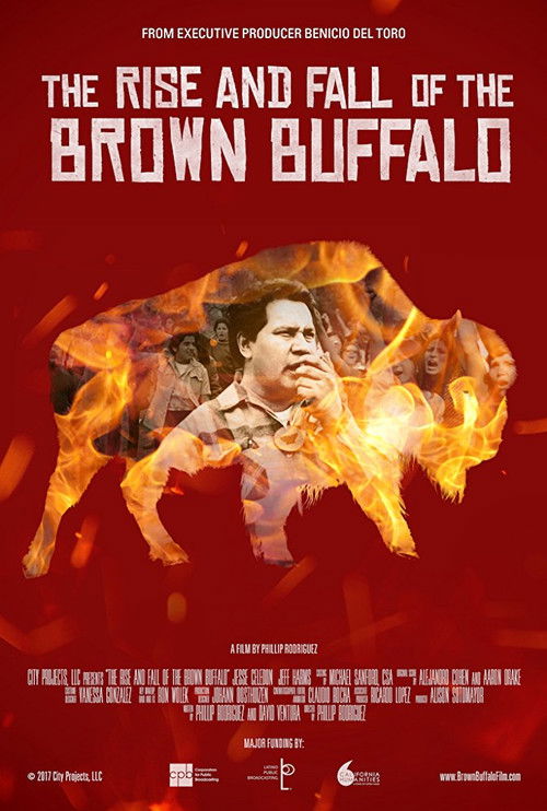 The Rise and Fall of the Brown Buffalo (2017) poster