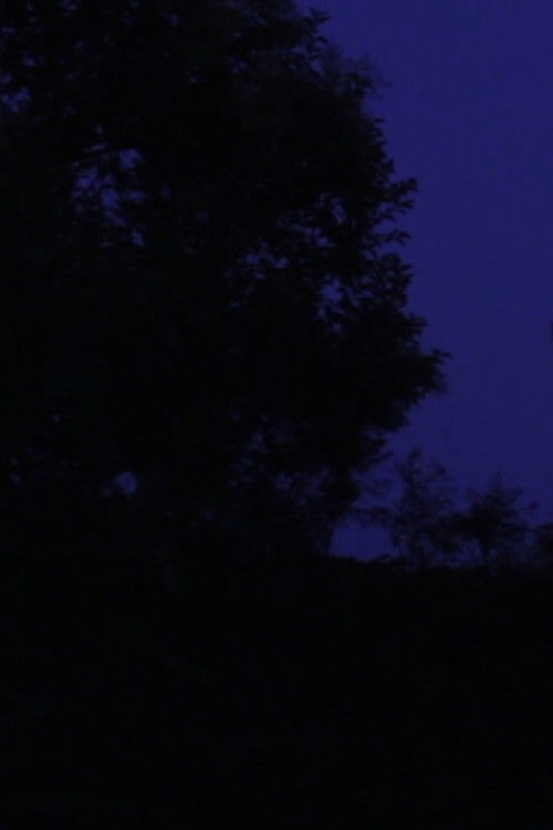 Drifting (2020) poster