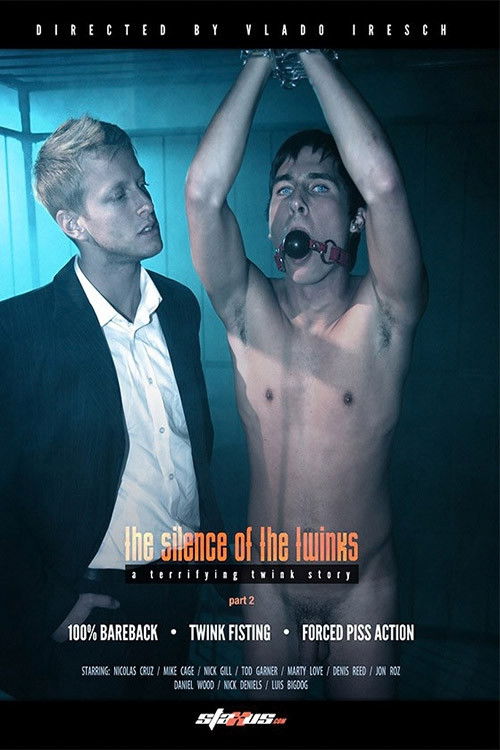 The Silence Of The Twinks: Part 2 (2011) poster