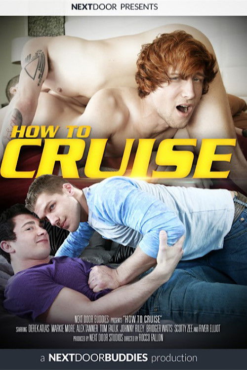 How to Cruise (2017) poster