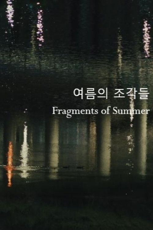 Fragments of Summer (2024) poster