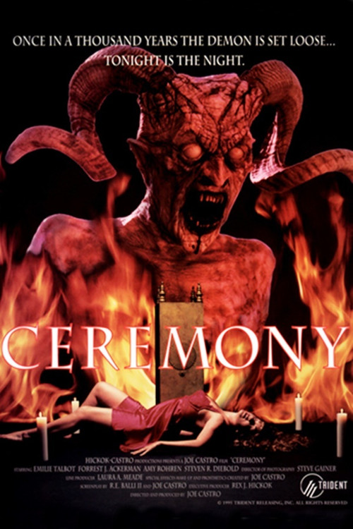 Ceremony (1994) poster