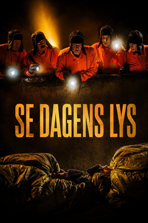 Se dagens lys (2003) poster