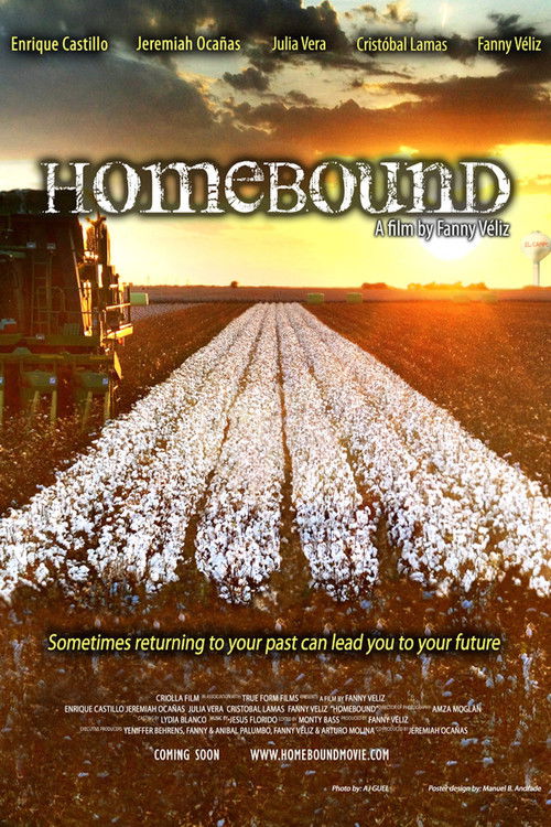 Homebound (2013) poster