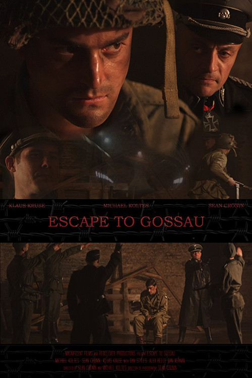 Escape to Gossau (2013) poster