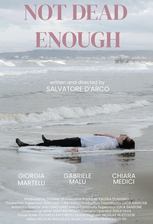 Not dead enough (2025) poster