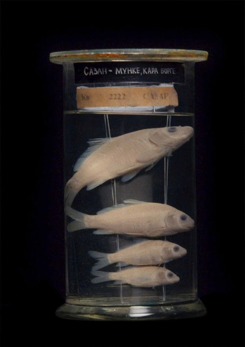 Aralkum (2022) poster