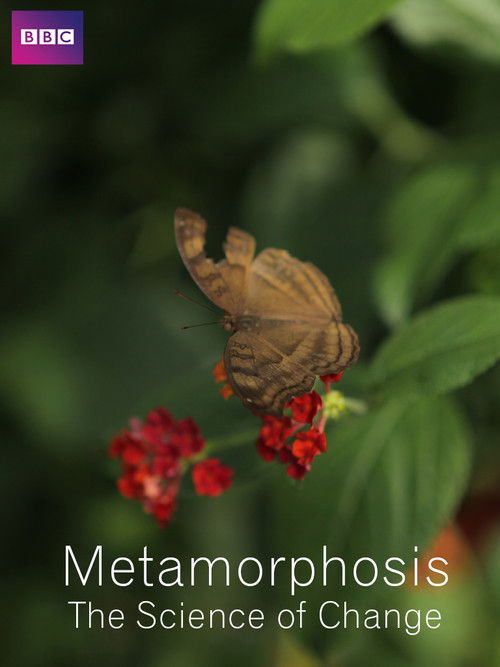 Metamorphosis: The Science of Change (2013) poster
