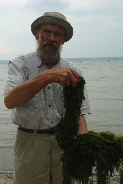 Cranberry Island (2010) poster