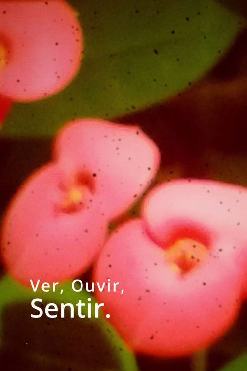 Ver, Ouvir, Sentir. (2024) poster