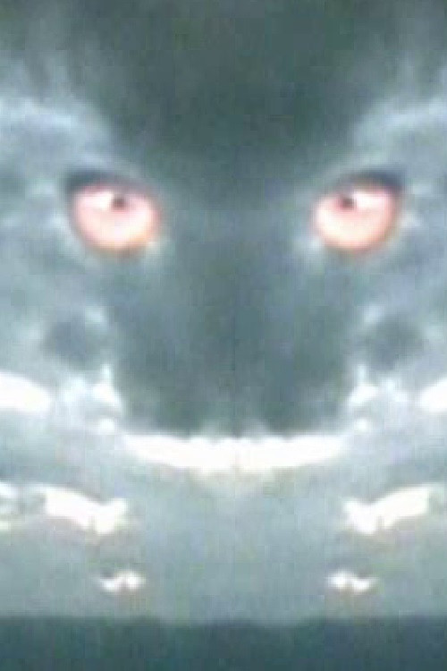 Haiku 2: Paper Dragon (2006) poster