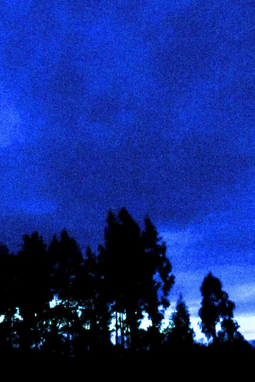 Looking South (2025) poster