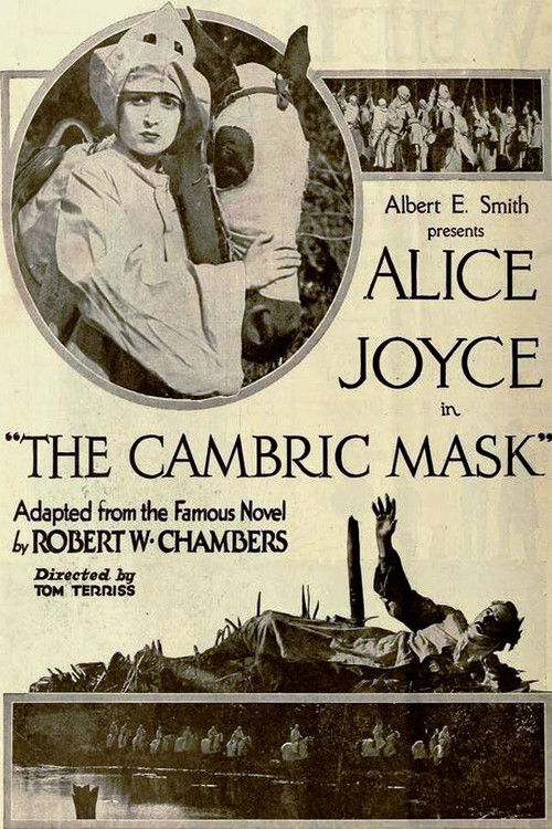 The Cambric Mask (1919) poster