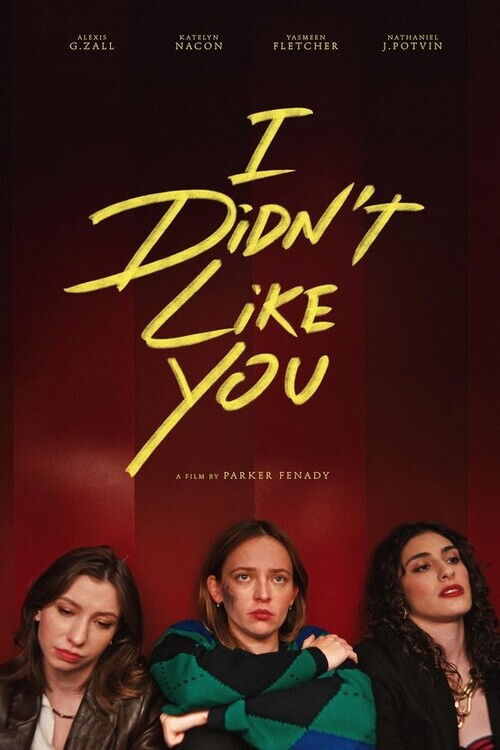 I Didn't Like You (2025) poster