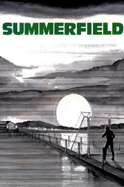 Summerfield (1977) poster