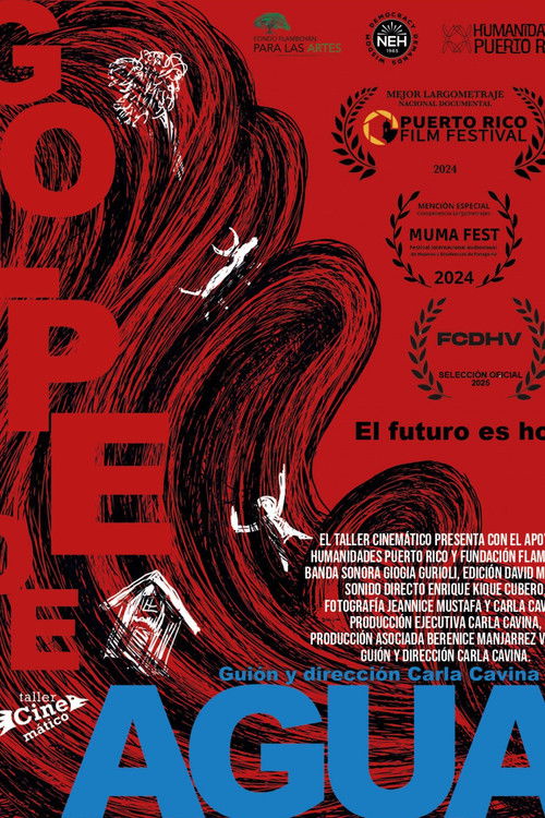 Golpe de agua (2025) poster