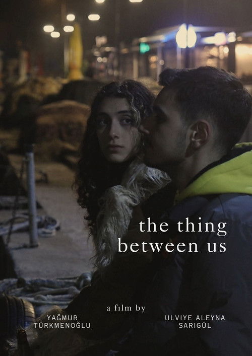 The Thing Between Us poster
